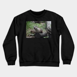 Funny Otter Crewneck Sweatshirt